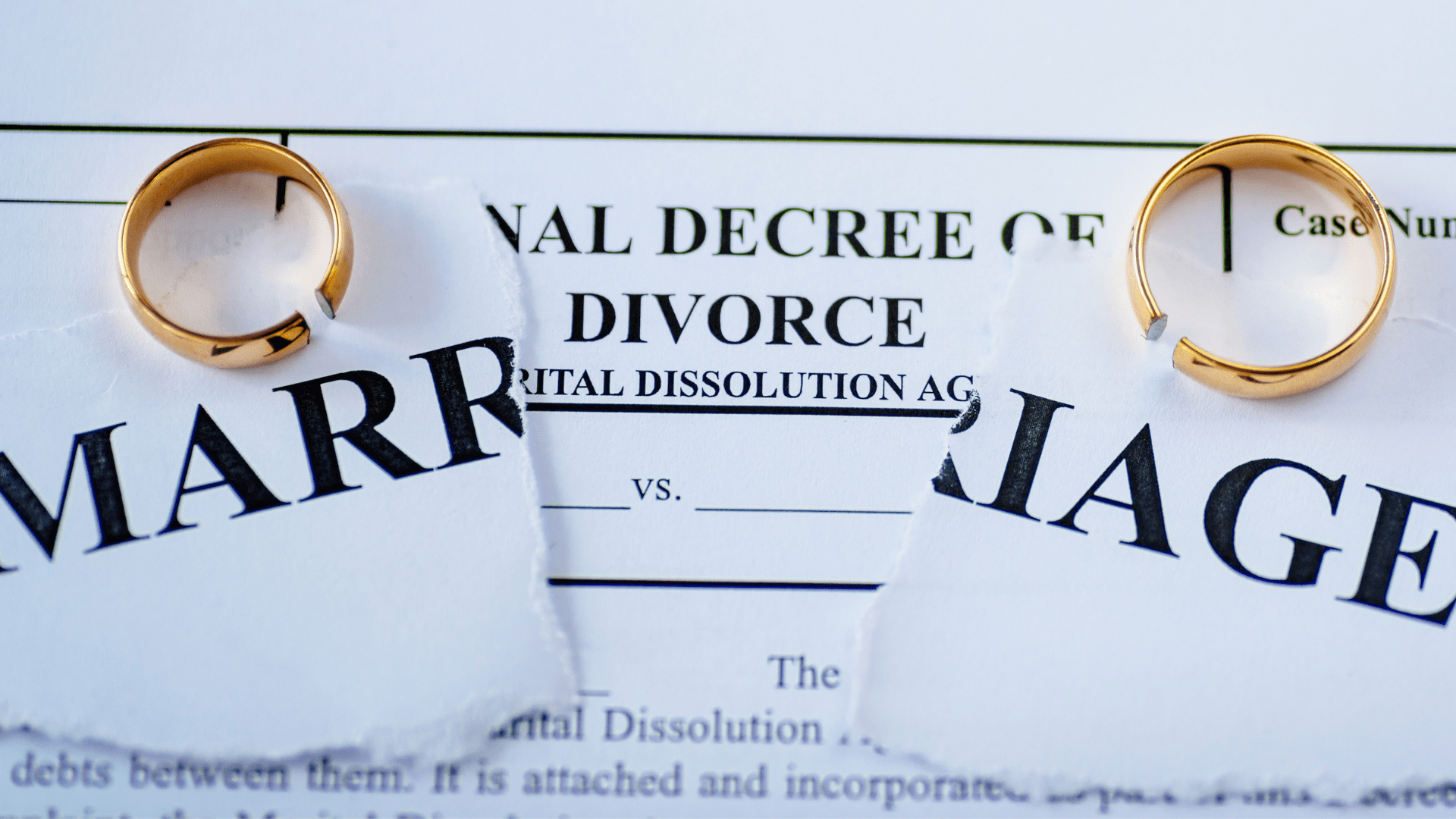 Divorcio de alto patrimonio neto/divorcio de activos