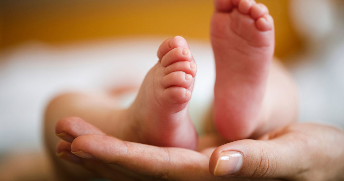 Arizona Derechos de los padres biológicos en la adopción 