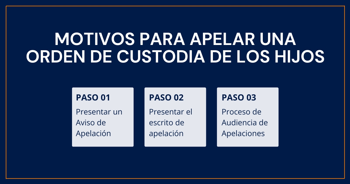 Motivos para recurrir una orden de custodia de menores 
