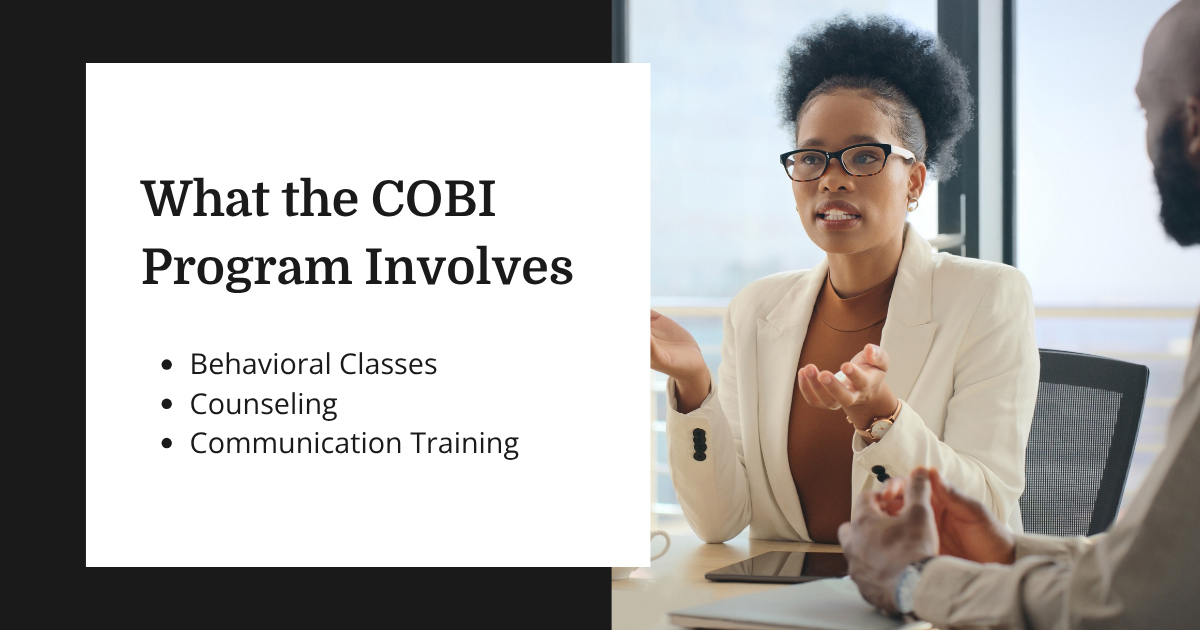 Arizona COBI Program Outline