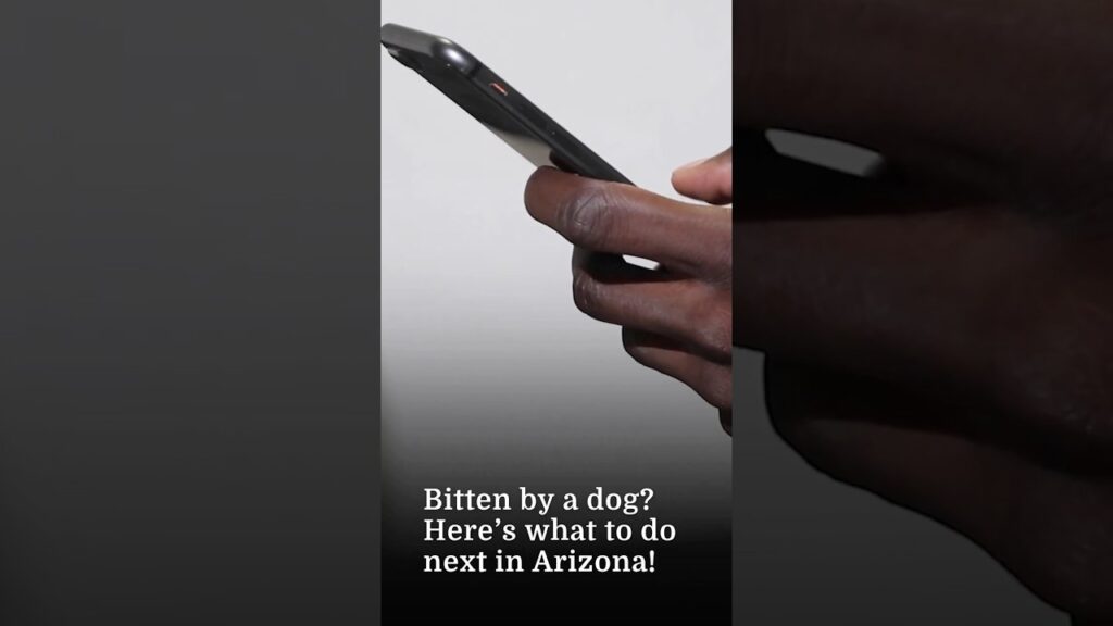 ¿Le ha mordido un perro en Arizona? Proteja sus derechos rápidamente.