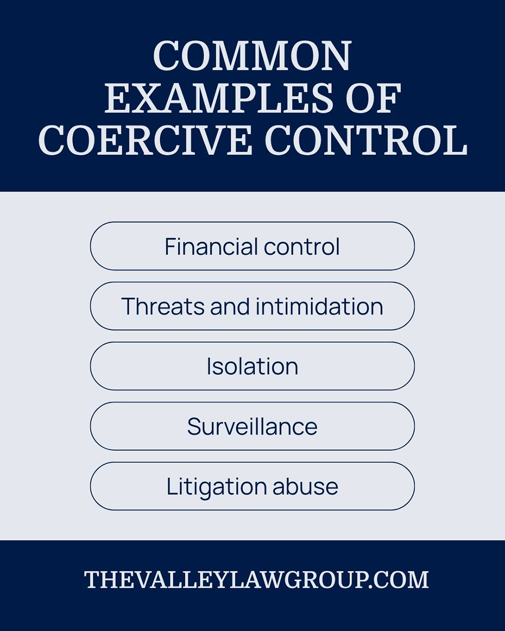 Examples of coercive control including financial control, threats, isolation, surveillance, and litigation abuse